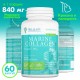 MARINE COLLAGEN (60капс)